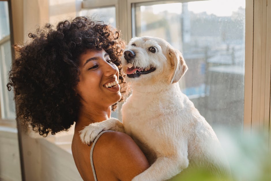 Wachstum von Mastzelltumoren beim Hund