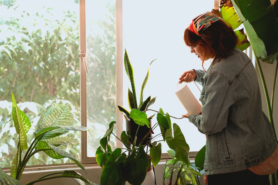 Tipps zum schnelleren Haarwachstum